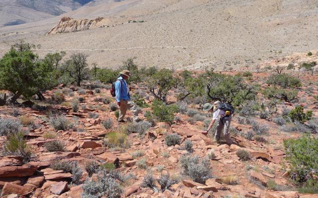 Two people looking at plant life on public land in Nevada