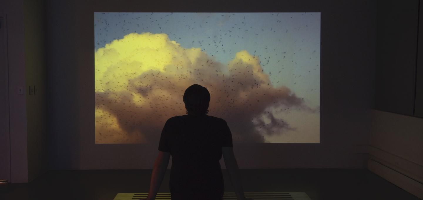 Silhouette of a person in front of a video projection featuring clouds and a large flock of birds