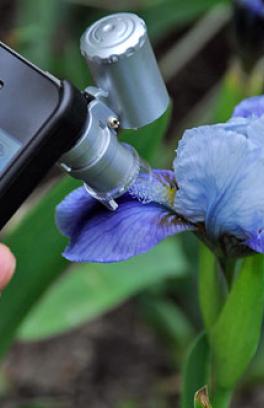 Image of microscope attachment on cellular phone looking at a flower