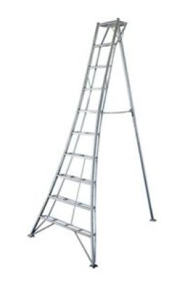 tripod orchard ladder