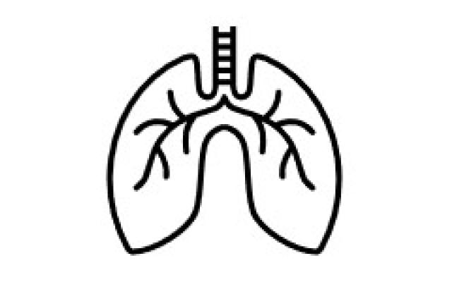 Outline of a persons lungs