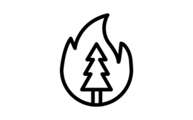 Outline of a fire and a pine tree