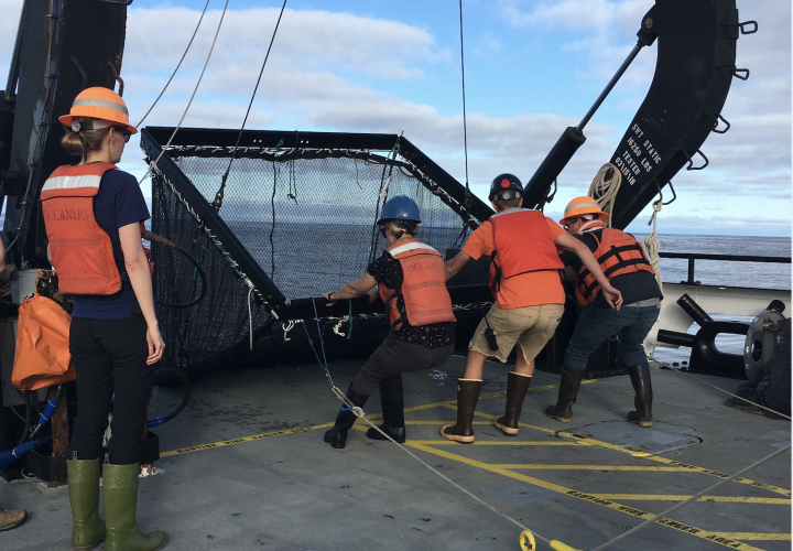 Dr. Lindgren and students conducting research at sea