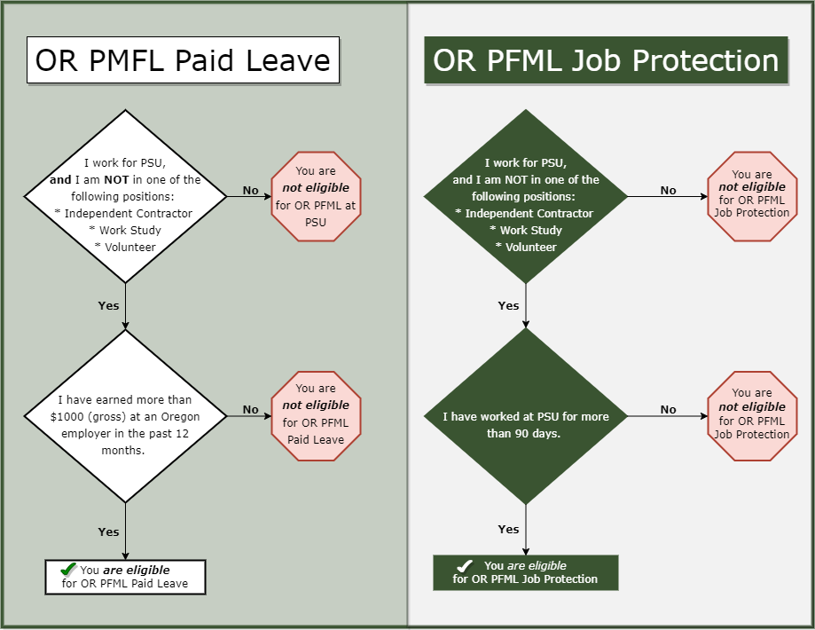 A flowchart showing the different options for Paid Leave on the left and Job Protection on the right