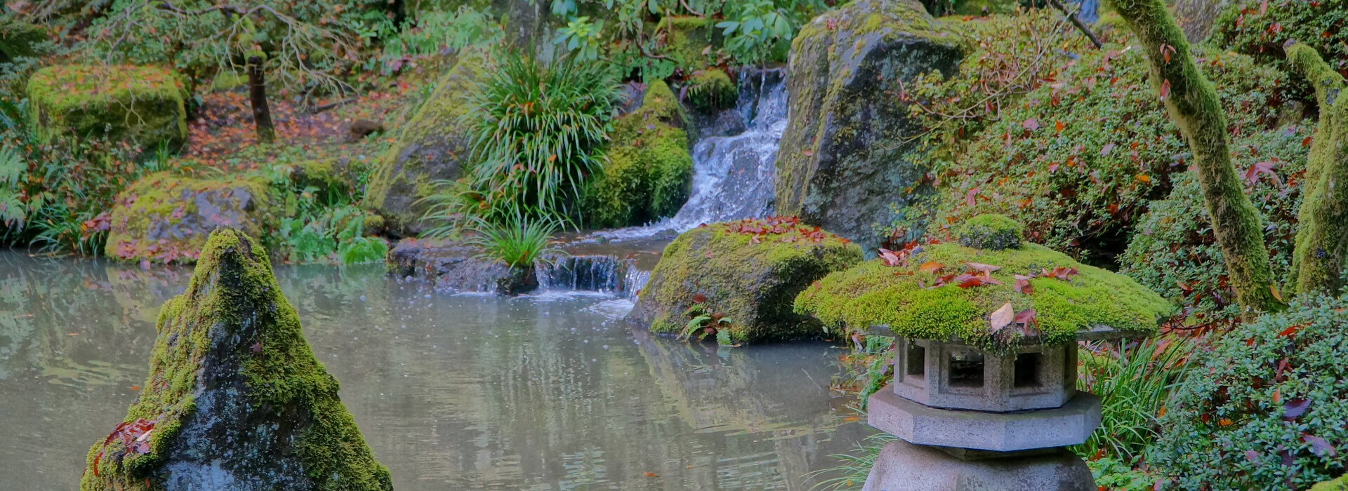 Photo of area in Portland Japanese Garden