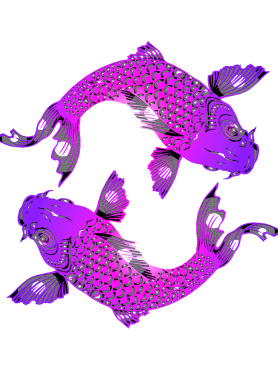 image of two purple koi forming circle