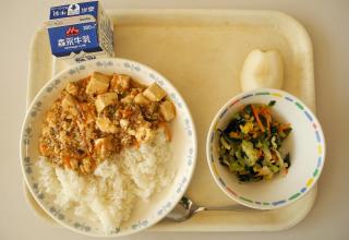 Japanese School Lunch on a Tray