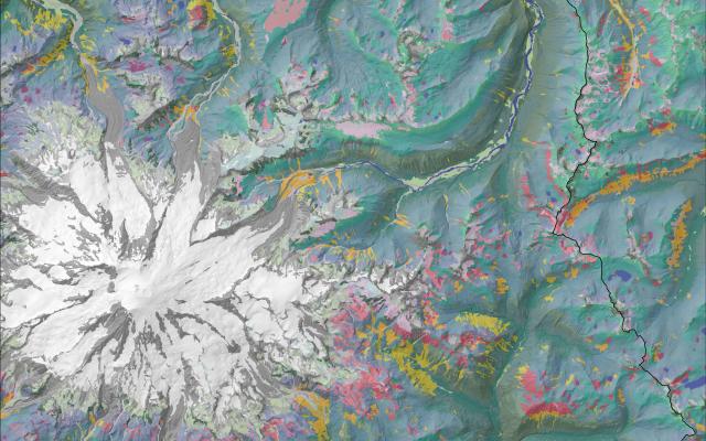 Mt Rainier map with vegetation classes.