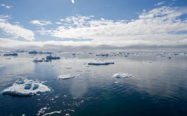Icebergs floating in the ocean