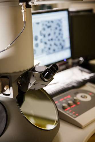 Electron microscope in the lab