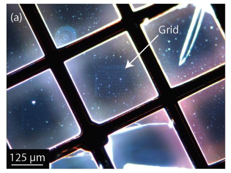 Transmission electron microscopy (TEM) grid within a grid