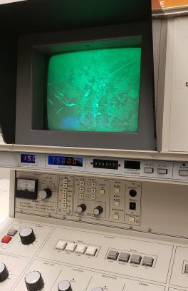 A scanning electron microscope (SEM) used in PH 316