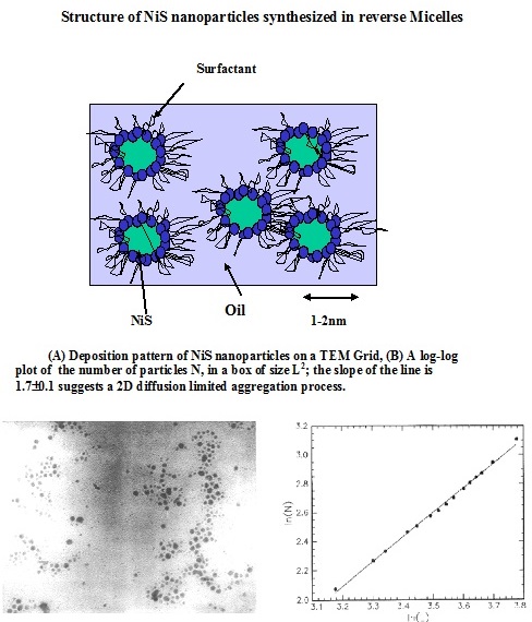 NiS nanoparticle behavior explained via graphs and microscope slides