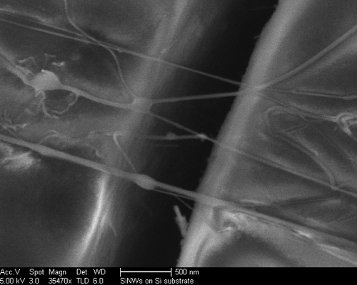 Microscopy of silicon nanowire junctions 