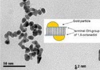 Anisotropic gold nanoparticles clustered