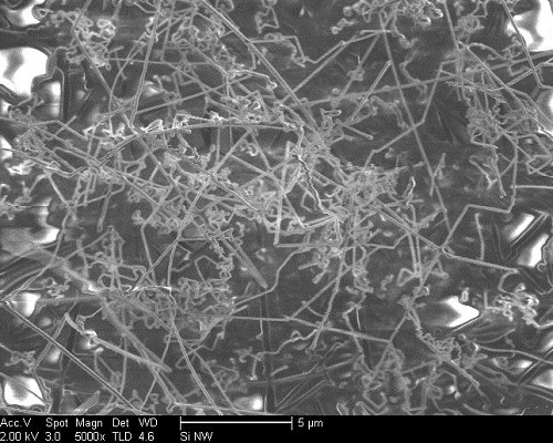 Microscopy of silicon nanowires