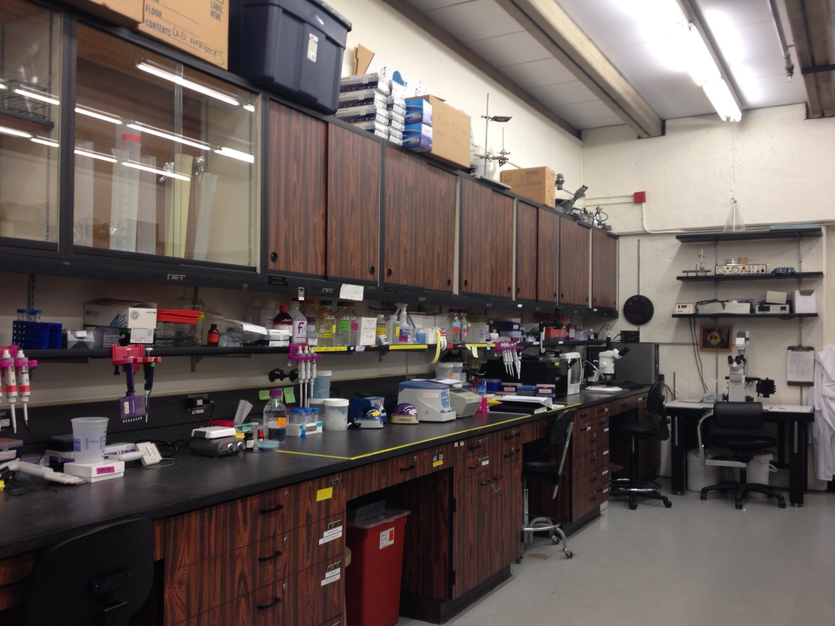 Main research laboratory