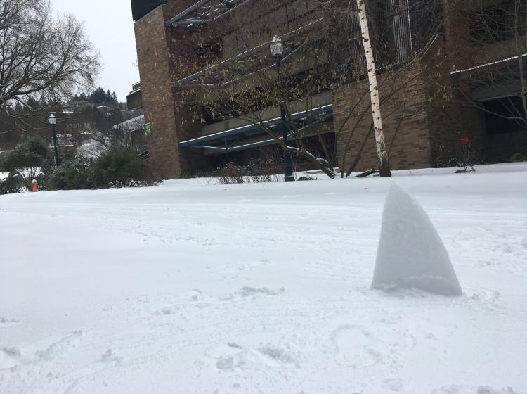 Snow shark on campus - snow storm of February 2021