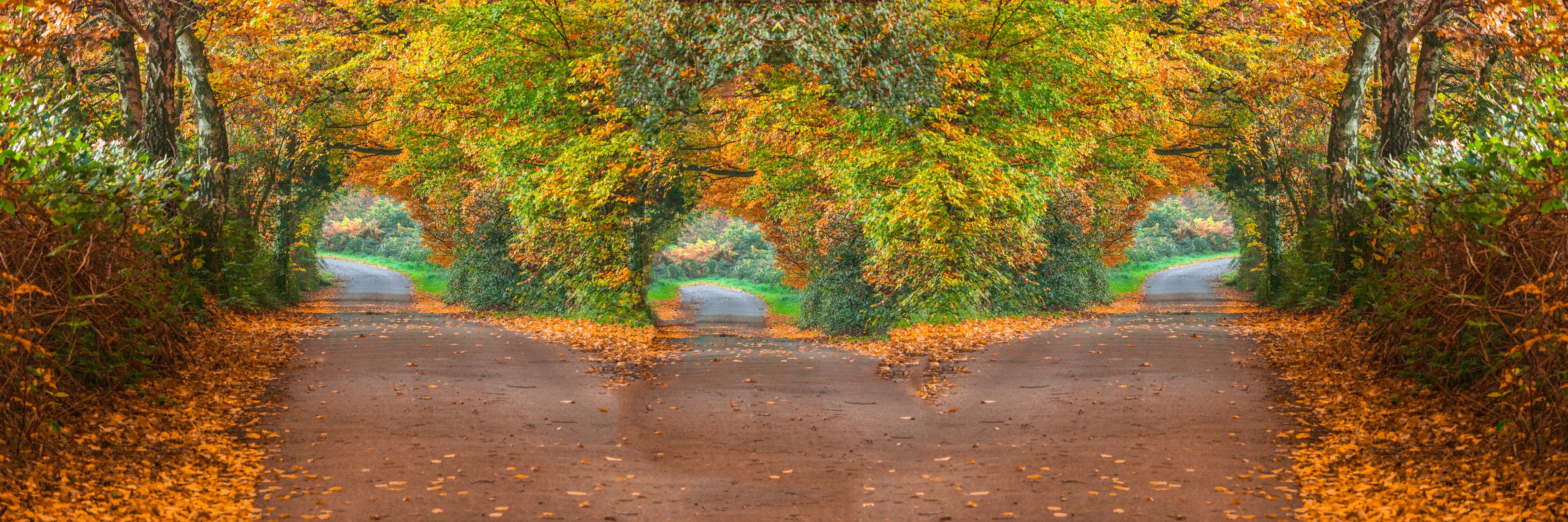 Country road in fall with three diverging paths