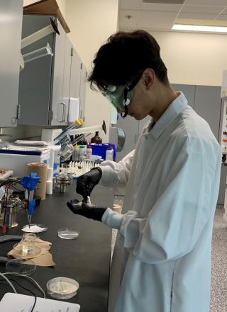 REU 2019 Participant Hsiang Thum in the lab