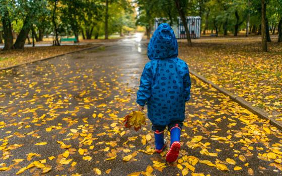 A child with a big jacket and rainboots walking outside among fallen yellow leaves.