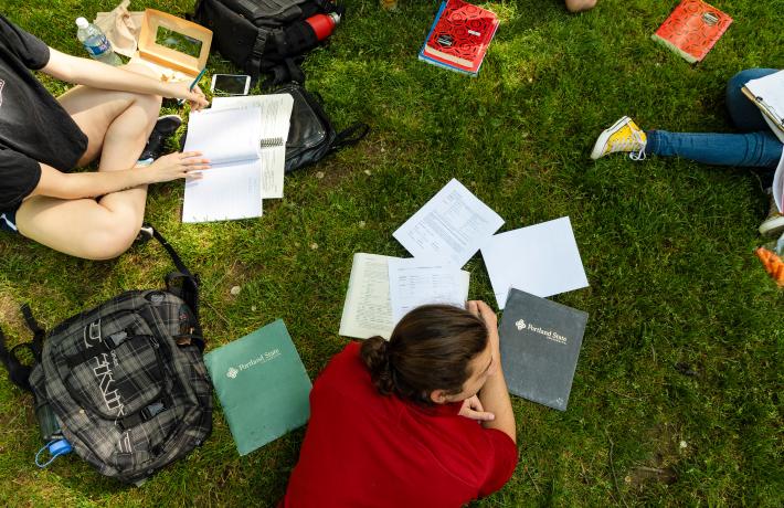 Students studying on the grass