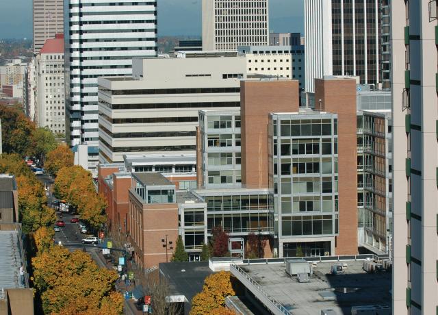 City view of Urban Center