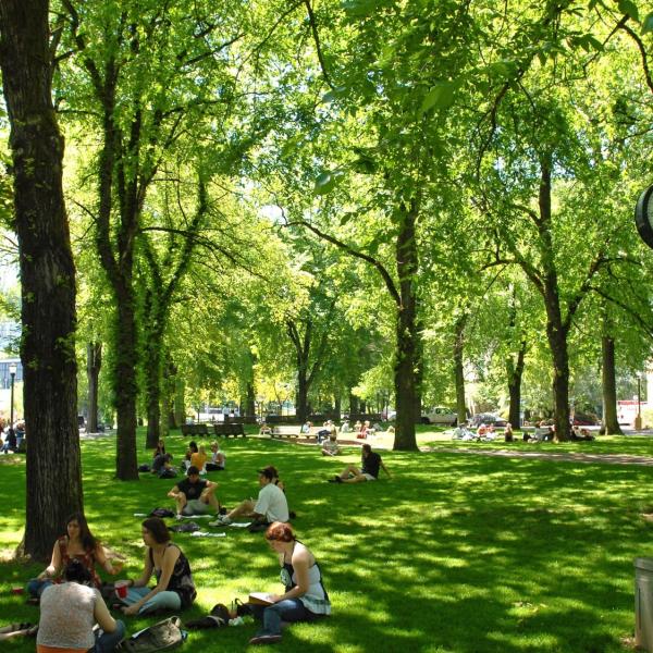 Green trees surround people sitting on lush green grass in the PSU Park Blocks