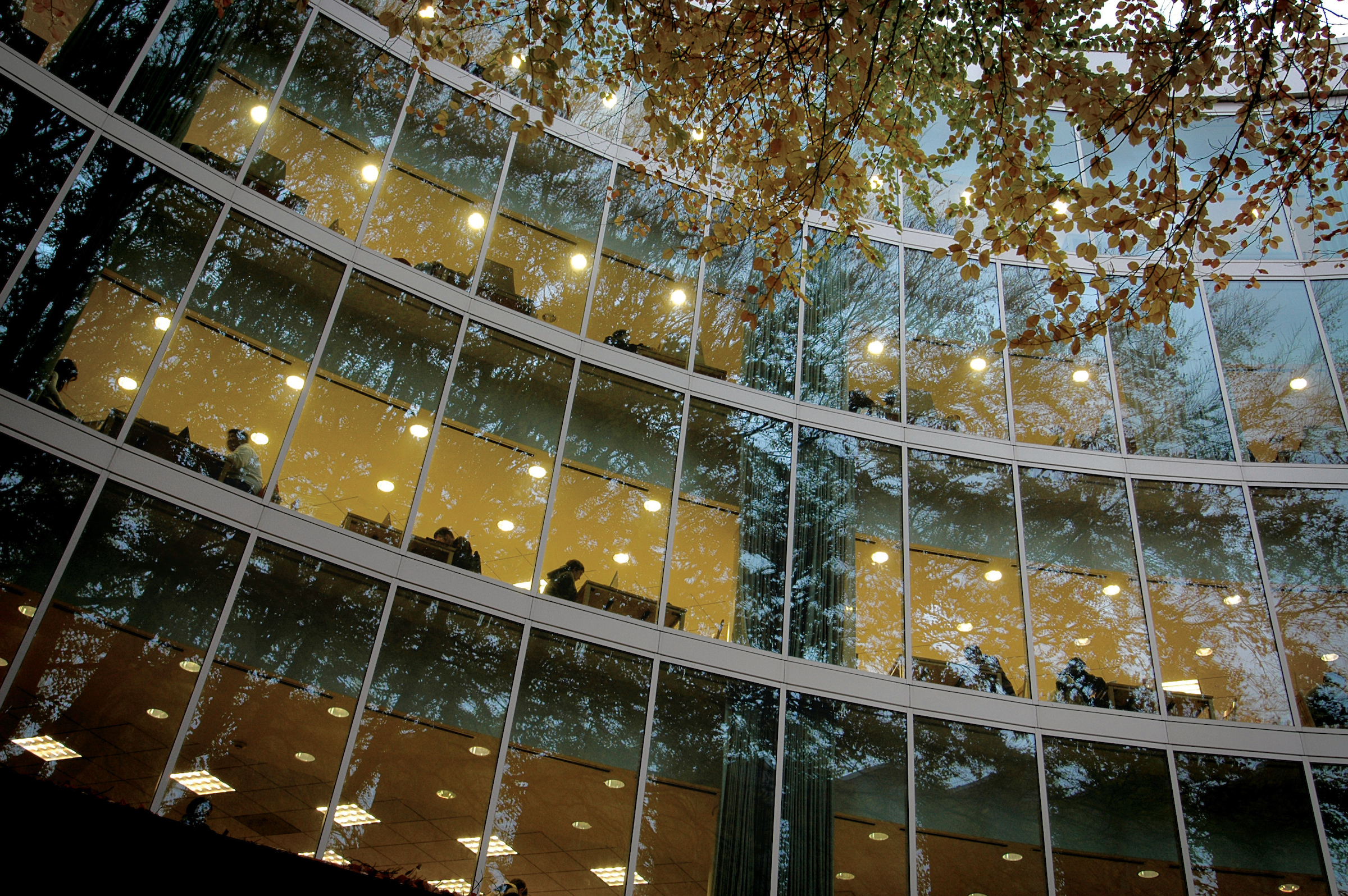 The windows from the Millar Library showing four stories of the inside of the building.