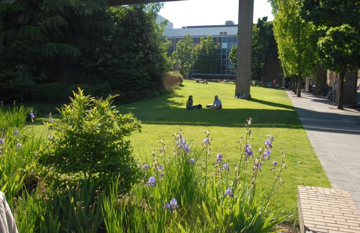 Two students sit on the grass in the shade on a sunny day.