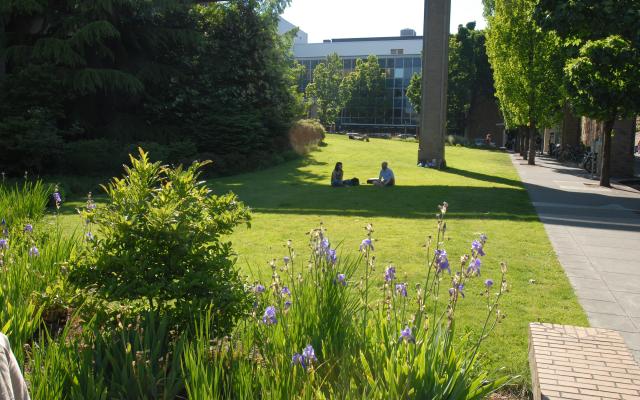 Two students sit on the grass in the shade on a sunny day.