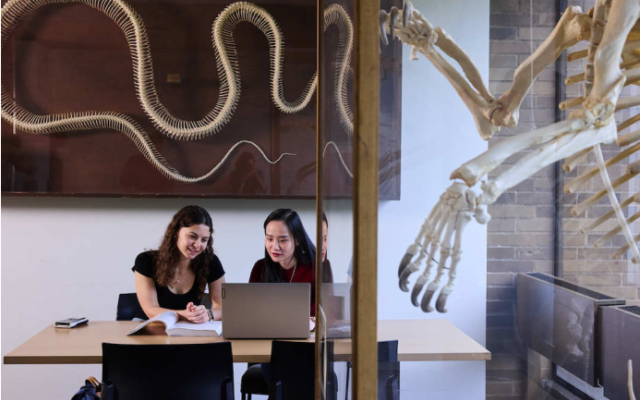 students reading a syllabus