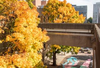 Fall Street Art