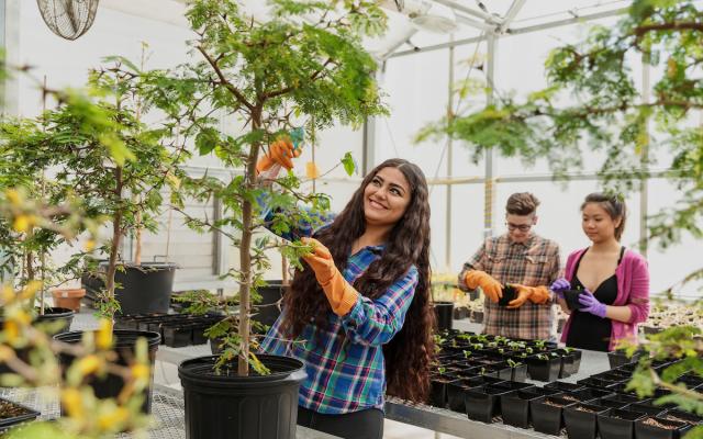 student working with plants