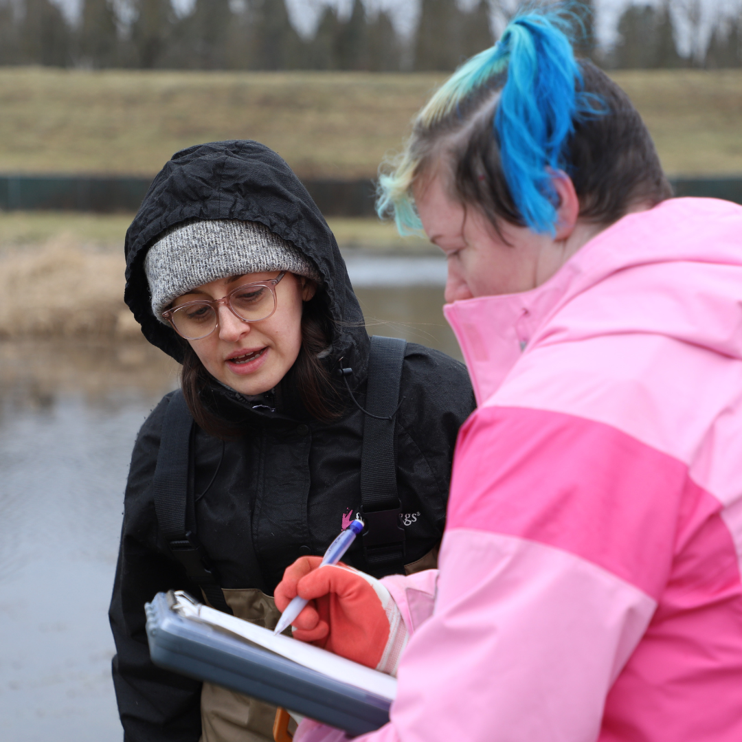 Students working in the field studying soil