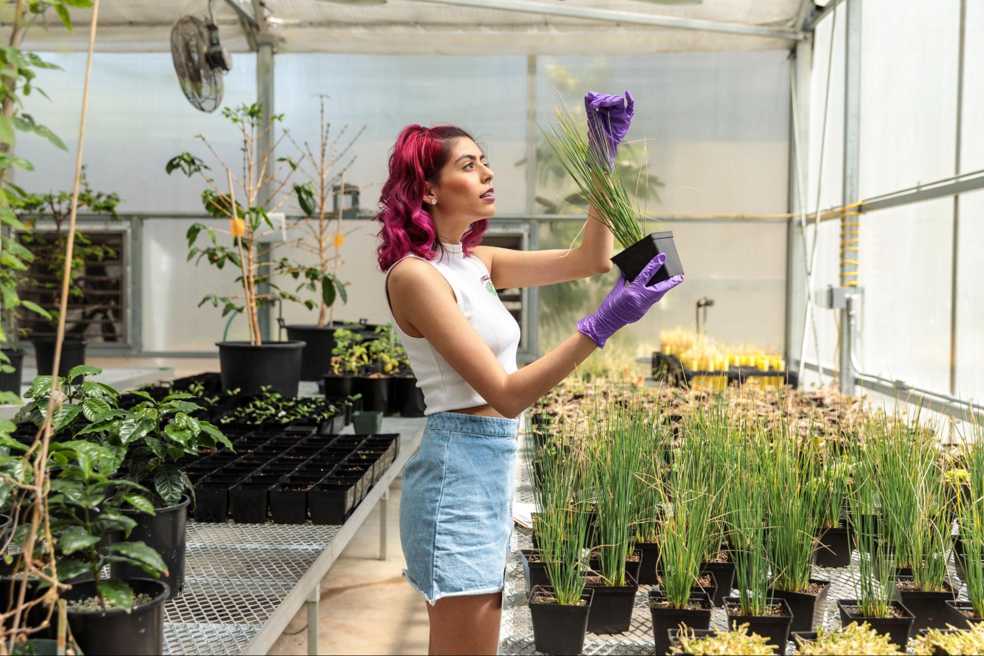 Student in a green house