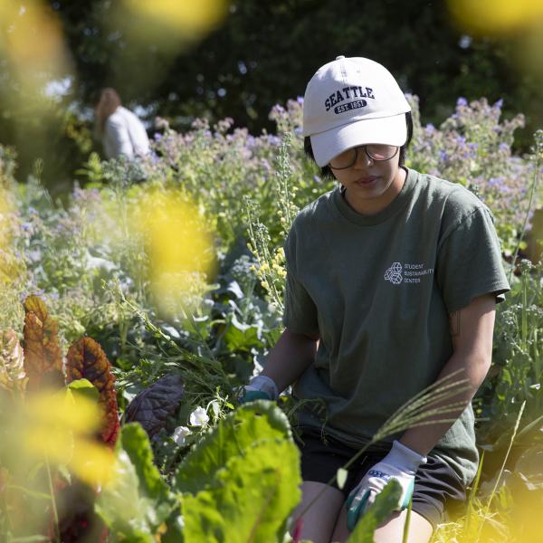 Student working in the Learning Gardens Lab