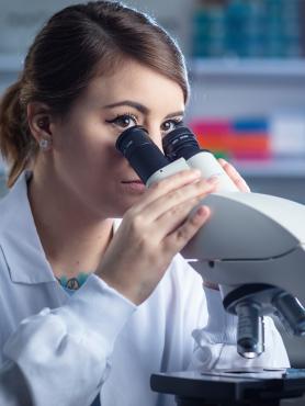 Student using microscope