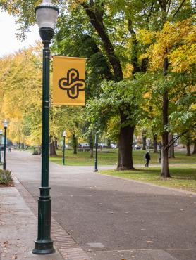 Fall foliage on campus