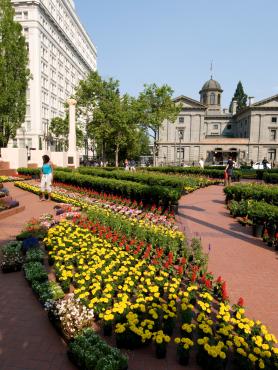 Spring flowers on campus walkway