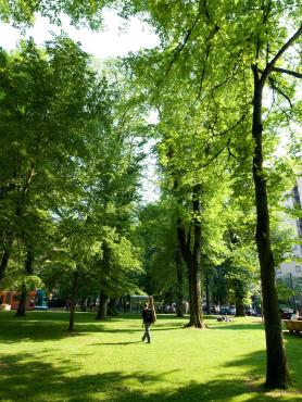 Individuals walking on campus grass on sunny day