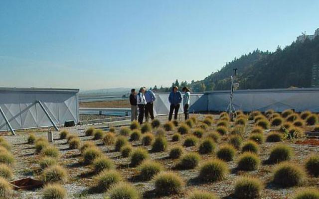 Environmental Engineering Students on a green roof