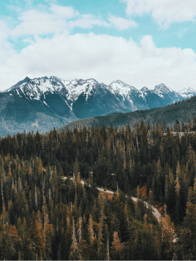 mountains and road