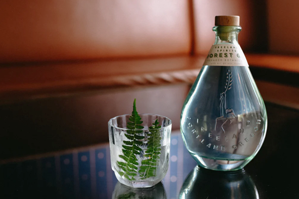 A bottle of Forest Gin and a glass of gin with a fern leaf in it.