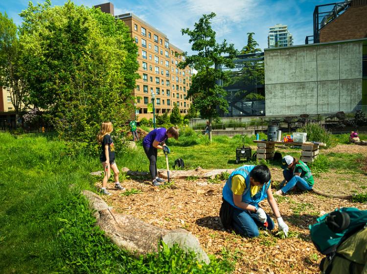 Volunteers gardening at the Oak Savanna on campus