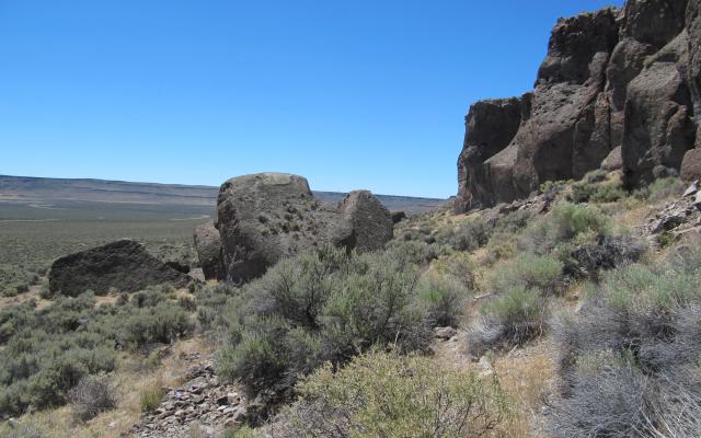 Rocks and plants