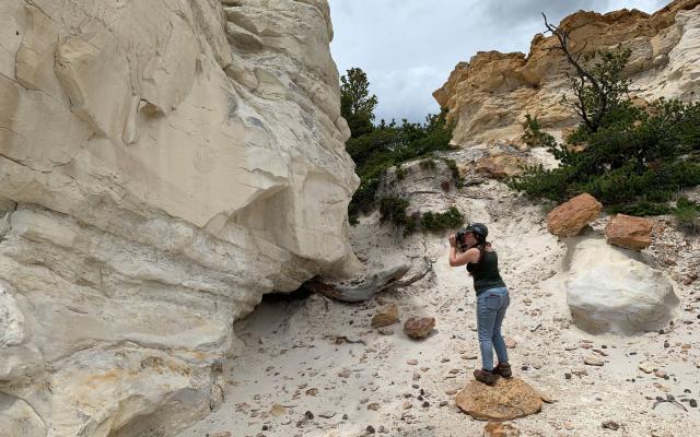 Woman taking photos of rock art