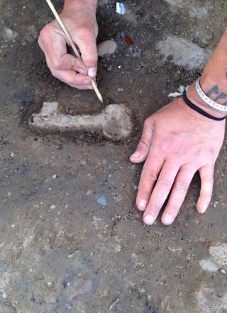 Field work dig