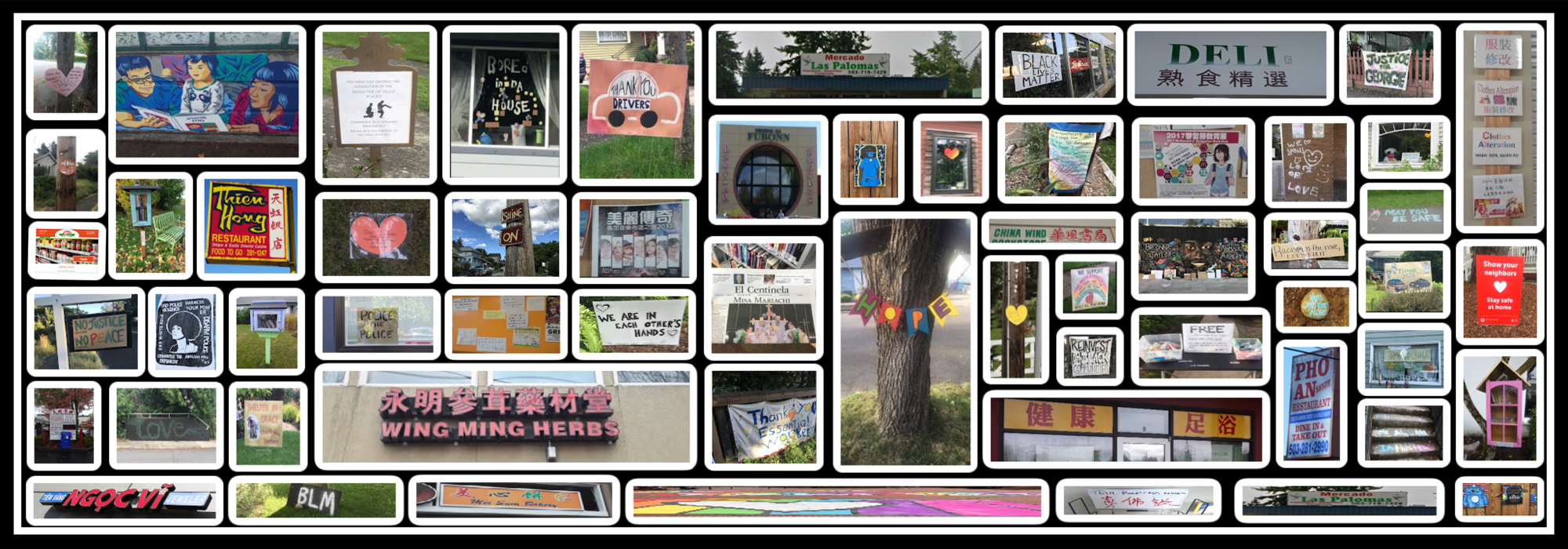 LAMP Collage 2