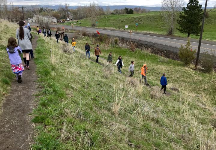 A line of students walk on a trail through a grassy field